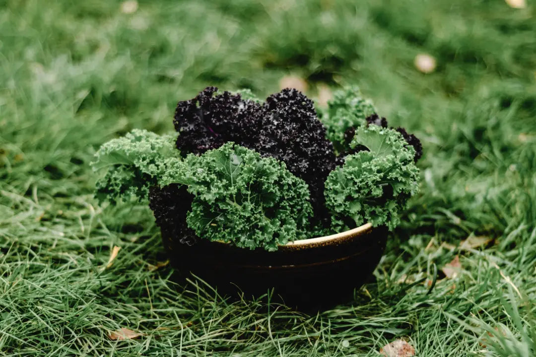 Raw Vegetables That Aren’t Always Good for Your Health