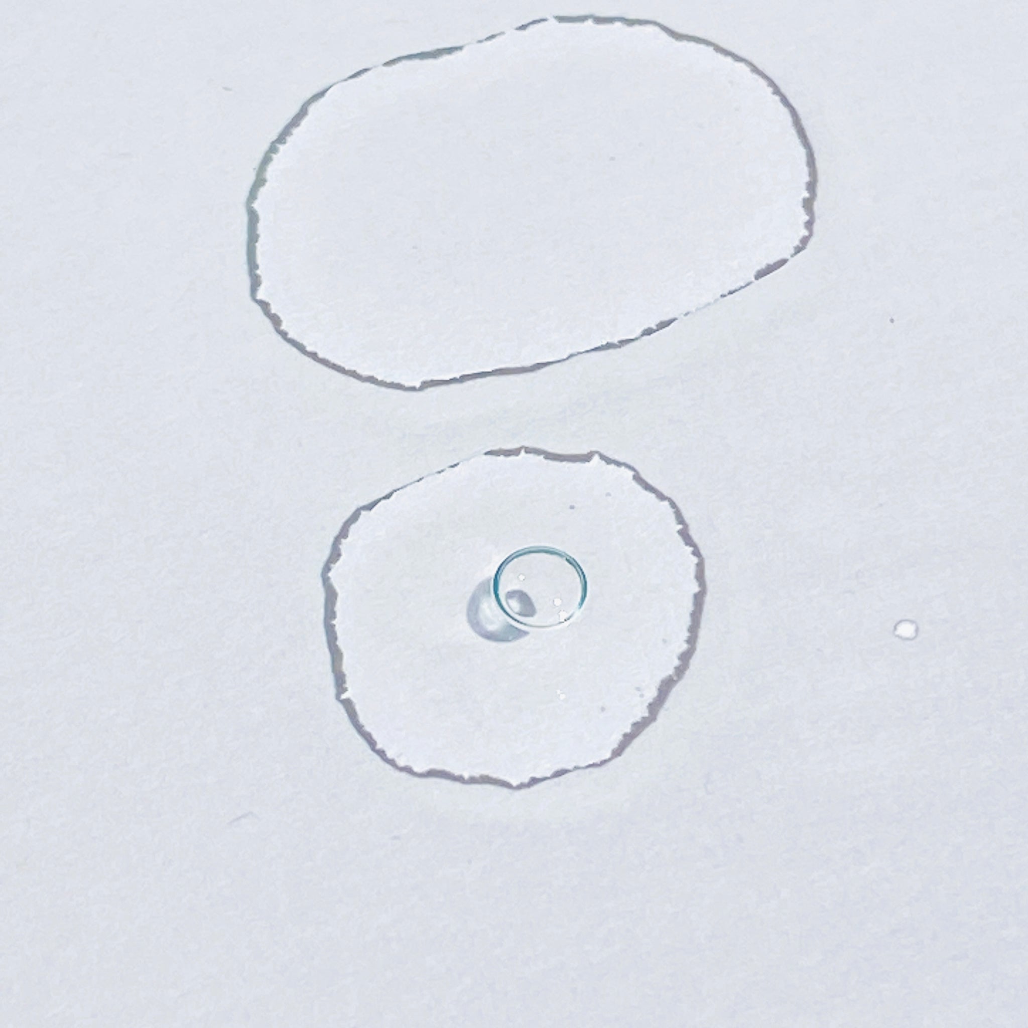 Set Collezione TRST – Siero Riequilibrante e Olio Idratante